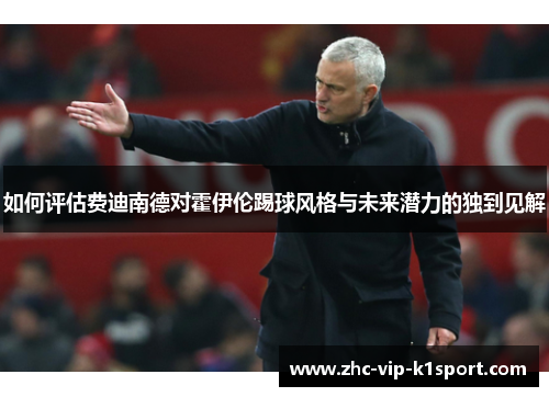如何评估费迪南德对霍伊伦踢球风格与未来潜力的独到见解